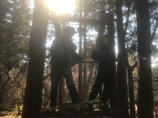 ファイル 2018-02-05 0 02 02.jpeg